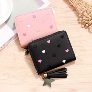 Chic Mini Tassel Zipper Wallet