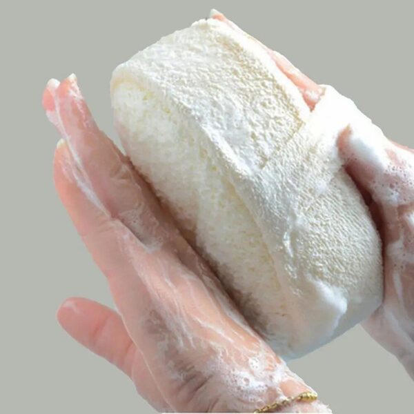 Natural Exfoliating Loofah Sponge – Soft Body Scrubber & Bath Massager