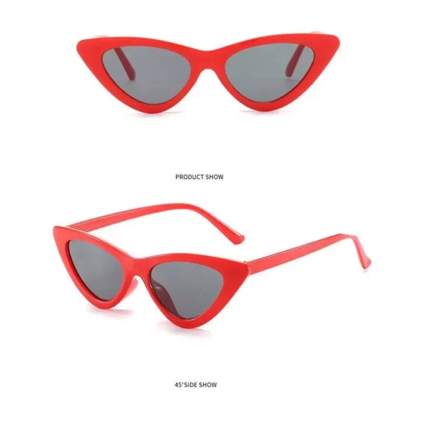 Summer Oval Sunglasses: Small Frame UV400 Polarized Shades