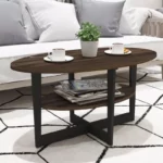 Modern Oval Coffee Table