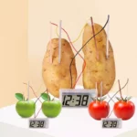 Kids' Eco-Friendly Science Experiment Kit - Montessori Potato Clock Educational Toy