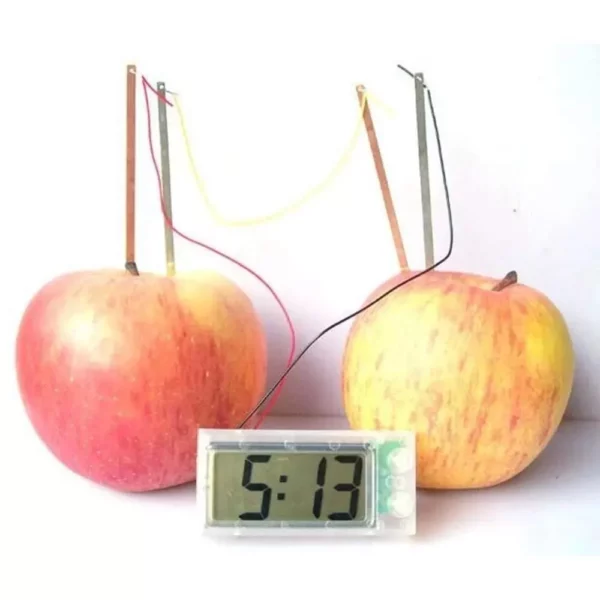 Kids’ Eco-Friendly Science Experiment Kit – Montessori Potato Clock Educational Toy