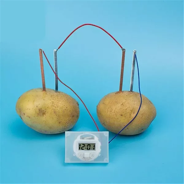 Kids’ Eco-Friendly Science Experiment Kit – Montessori Potato Clock Educational Toy