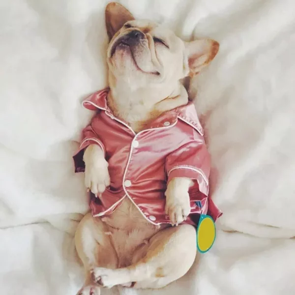 Luxury Pet Dog Pajamas