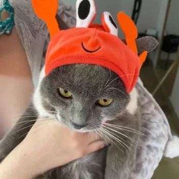 Adorable Crab Pet Hat for Cats and Small Dogs