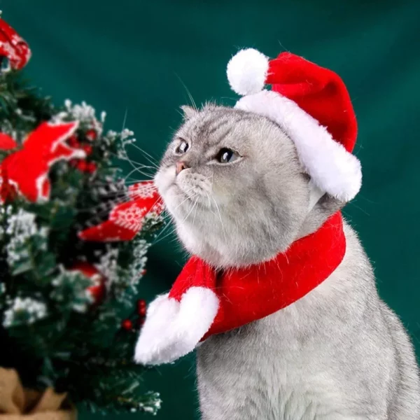 Velvet Christmas Santa Hat & Scarf Set for Pets