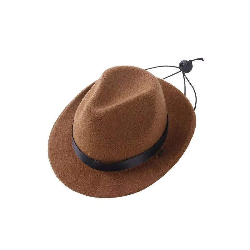 Pet Cowboy Hat