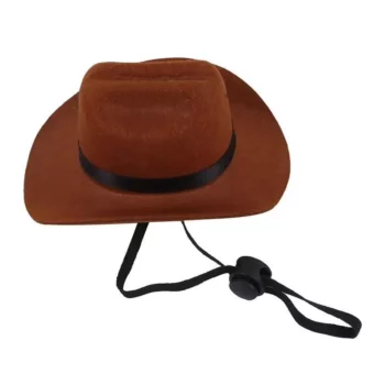 Pet Cowboy Hat