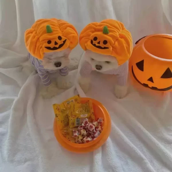 Corduroy Pumpkin Halloween Hat for Cats & Dogs