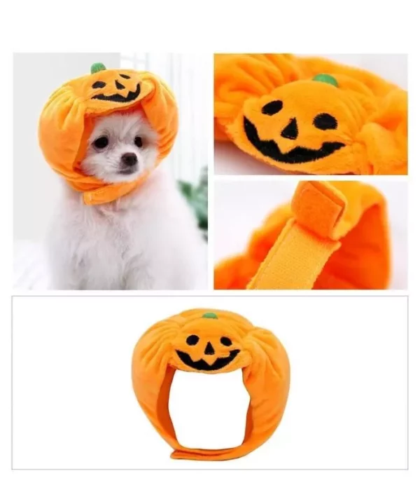 Corduroy Pumpkin Halloween Hat for Cats & Dogs