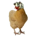 Adjustable Pet Chicken Helmet with Protective Visor