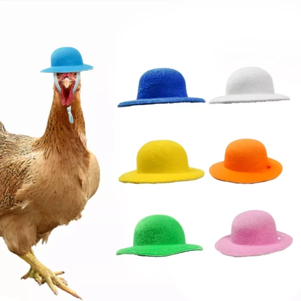 Colorful Feathered Chicken Hat