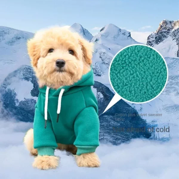 Classic Cotton Pet Hoodie