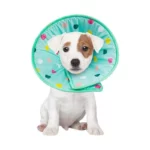 Soft Recovery Pet Collar Cone