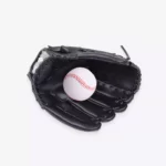 Baseball Glove