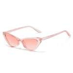 Chic Retro Cat-Eye Sunglasses