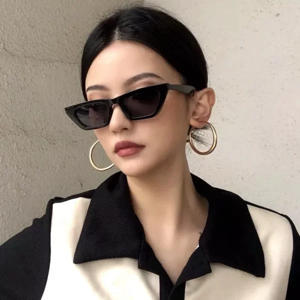 Chic Cat Eye Vintage Sunglasses