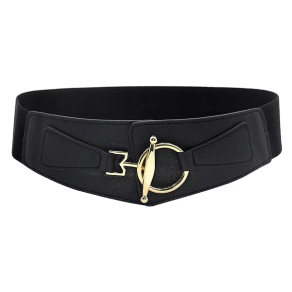 Luxury Elastic Wide Waist Belt for Women - Image 4