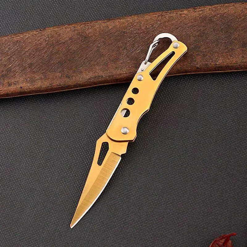 Compact Stainless Steel Folding Knife