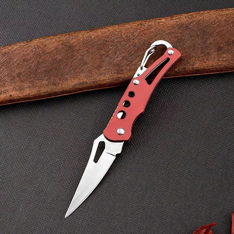 Compact Stainless Steel Folding Knife