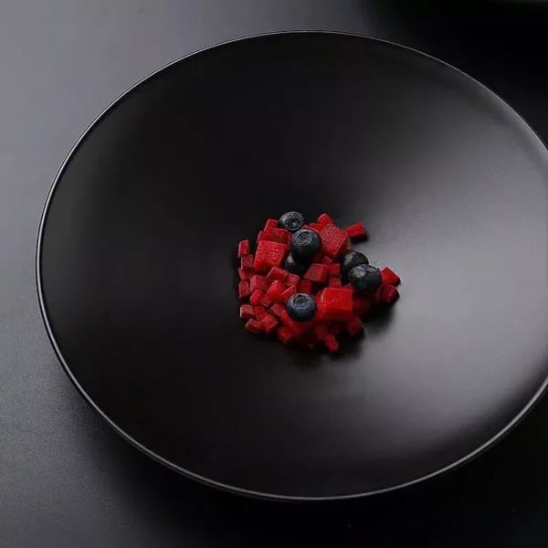 Elegant Matte Black Ceramic Plate Set