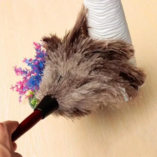 Eco-Friendly Ostrich Feather Duster with Long Wooden Handle