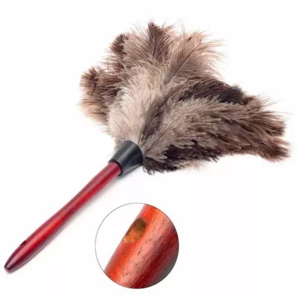 Eco-Friendly Ostrich Feather Duster with Long Wooden Handle