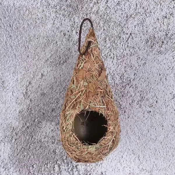 Bird House - Image 2