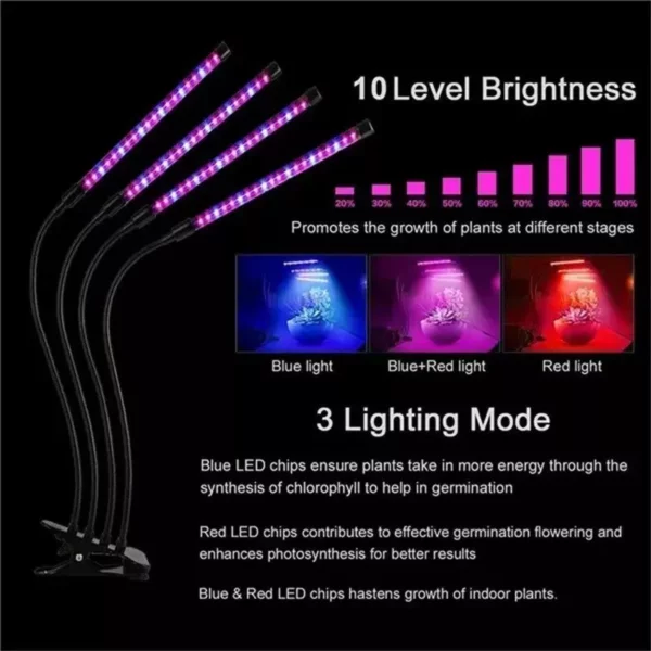 Multi-Mode Indoor LED Grow Light with Timer & 10-Level Dimmer - Image 5