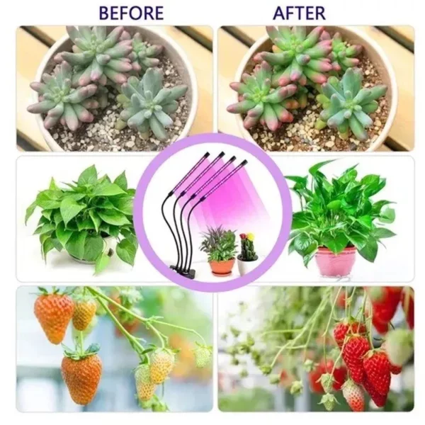 Multi-Mode Indoor LED Grow Light with Timer & 10-Level Dimmer