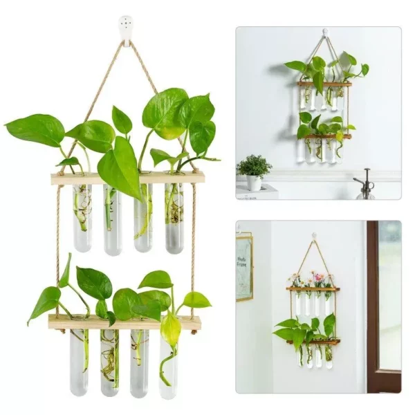 Hanging Propagation Station for Plants