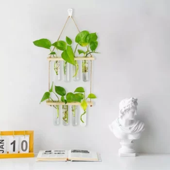 Hanging Propagation Station for Plants