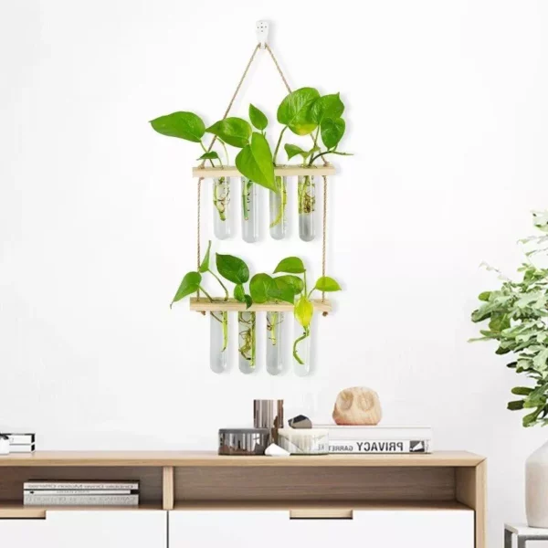 Hanging Propagation Station for Plants