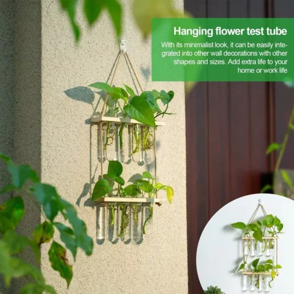 Hanging Propagation Station for Plants