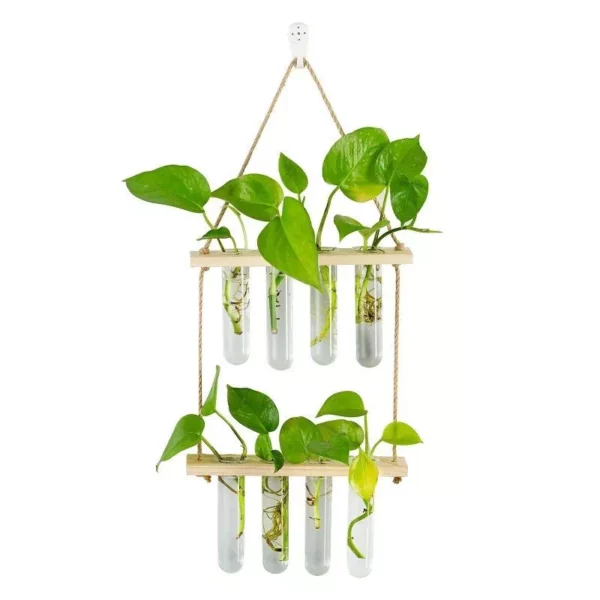 Hanging Propagation Station for Plants