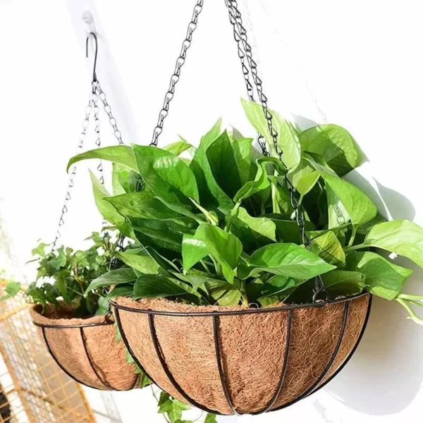 Elegant Metal Hanging Planter Baskets with Coconut Liner - Versatile Indoor/Outdoor Decor