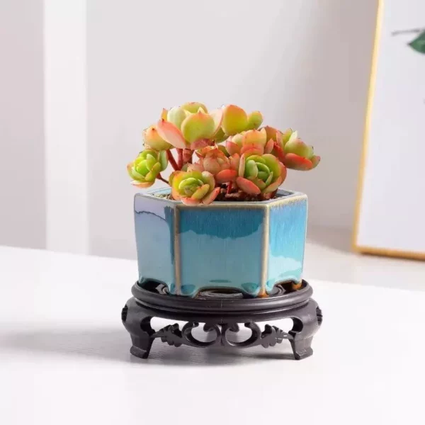 Elegant Glazed Ceramic Pots for Succulents and Small Plants - Image 5