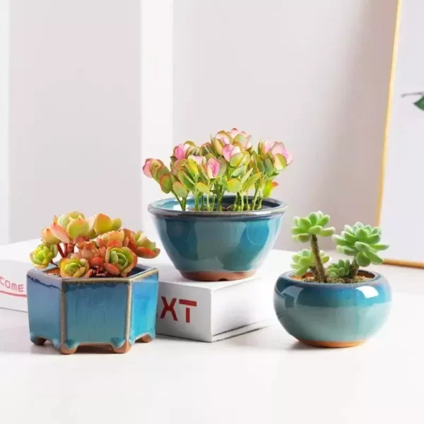 Elegant Glazed Ceramic Pots for Succulents and Small Plants - Image 4