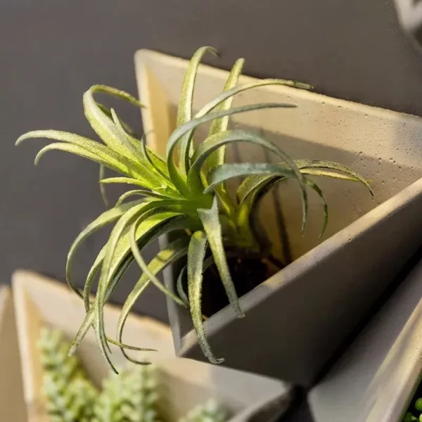 Modern Nordic Triangle Wall-Mounted Cement Flowerpot - Image 3