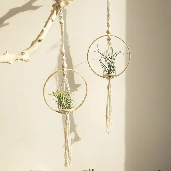 Boho Chic Macrame Air Plant Hanger - Image 2