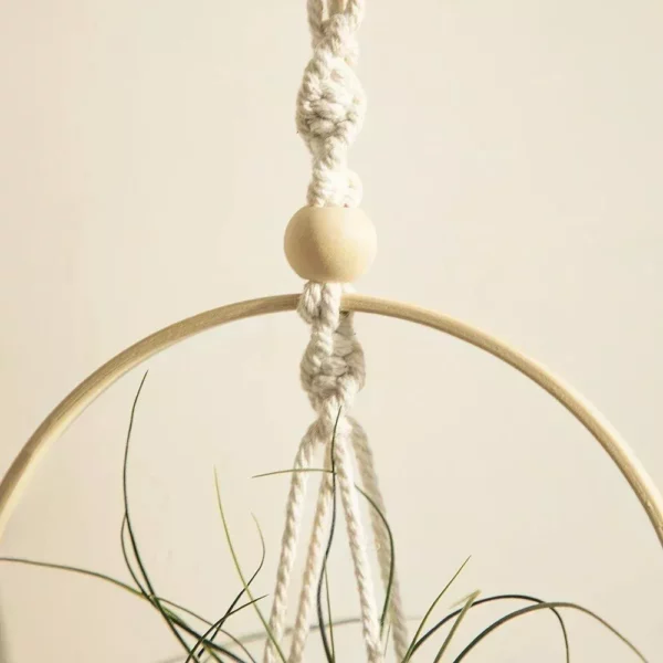 Boho Chic Macrame Air Plant Hanger - Image 4