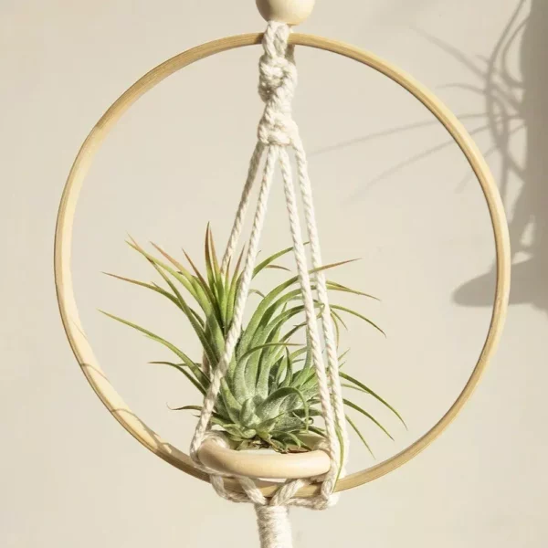 Boho Chic Macrame Air Plant Hanger - Image 3