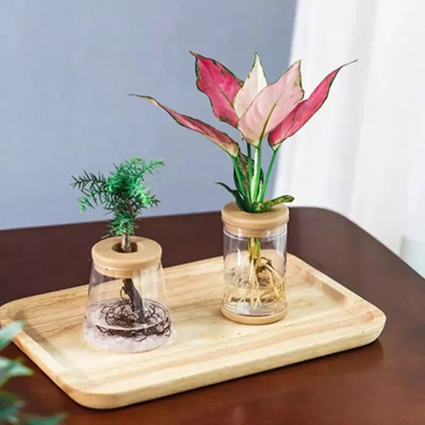 Mini Hydroponic Flower Pot Home Vase Decor - Image 3