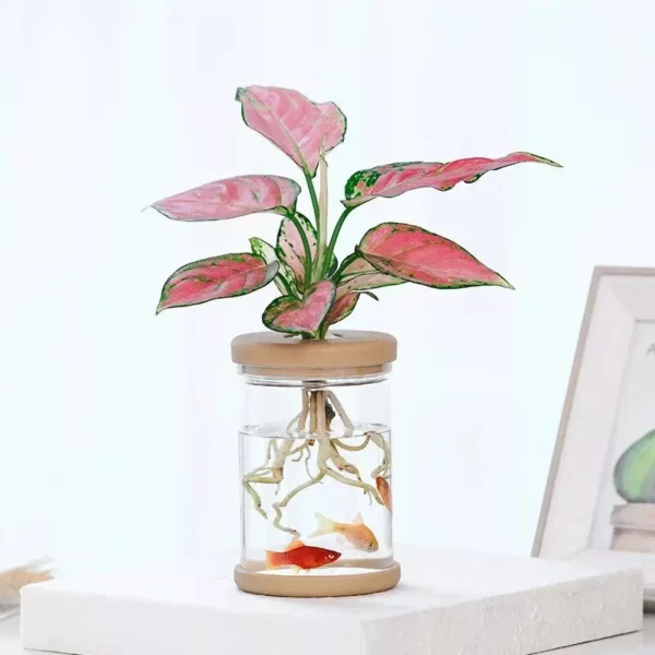 Mini Hydroponic Flower Pot Home Vase Decor - Image 6