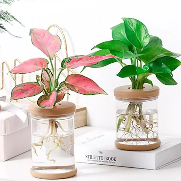 Mini Hydroponic Flower Pot Home Vase Decor - Image 2