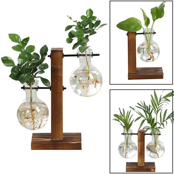 Terrarium Hydroponic Plant Vases - Image 2