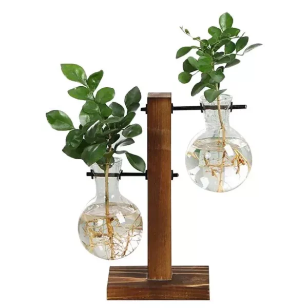 Terrarium Hydroponic Plant Vases - Image 3