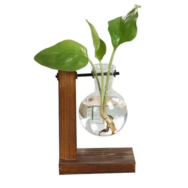 Terrarium Hydroponic Plant Vases - Image 5