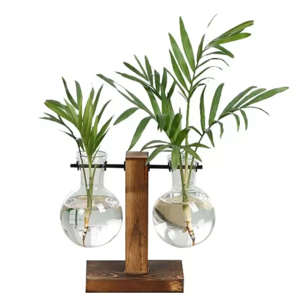 Terrarium Hydroponic Plant Vases - Image 6