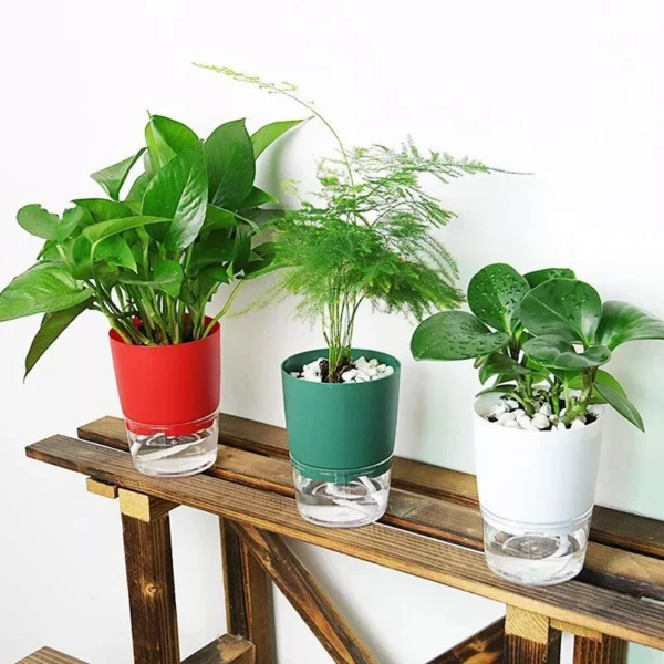 2 Layer Self Watering Plant Flower Pot